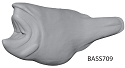 BASS709